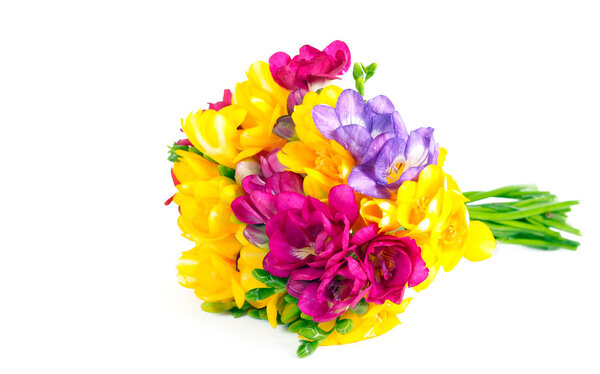 Bouquet of colorful flowers 