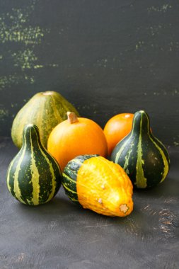 Mini kabaklar farklı şekil ve türleri