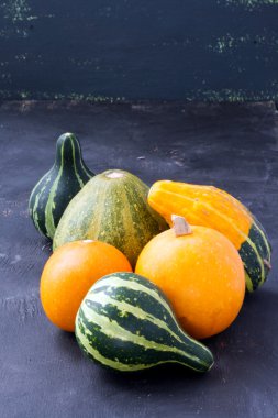 Mini kabaklar farklı şekil ve türleri