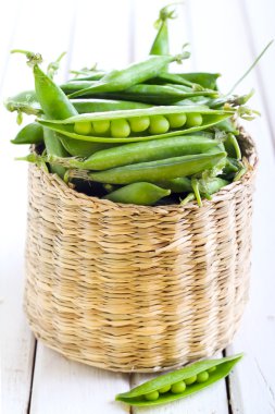 Yeşil salata yaprakları 