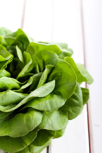 Folhas de salada verde — Fotografia de Stock