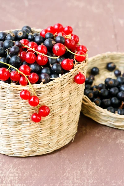 Schwarze und rote Johannisbeeren — Stockfoto