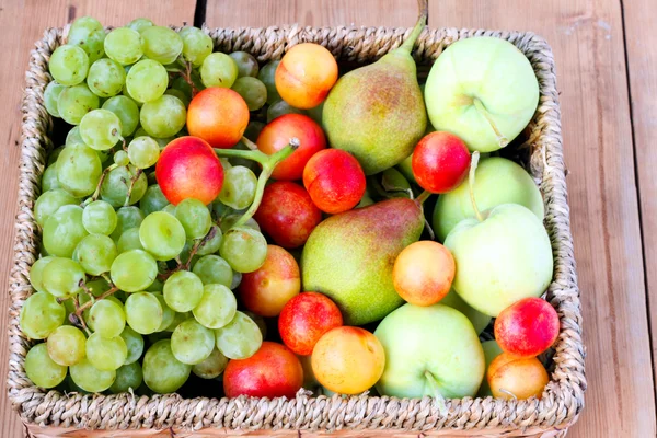 Míchané ovoce v košíku — Stock fotografie