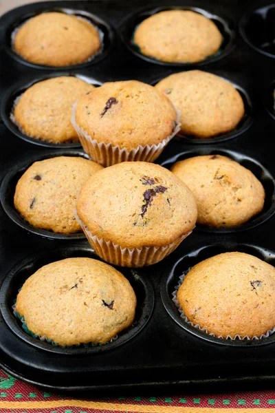 Pumpkin muffins — Stockfoto