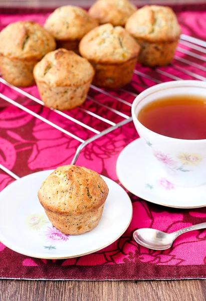 Muffin med vallmofrö — Stockfoto