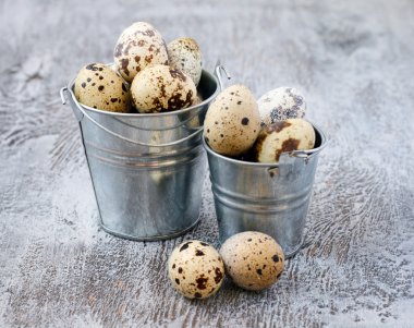 bıldırcın yumurtası