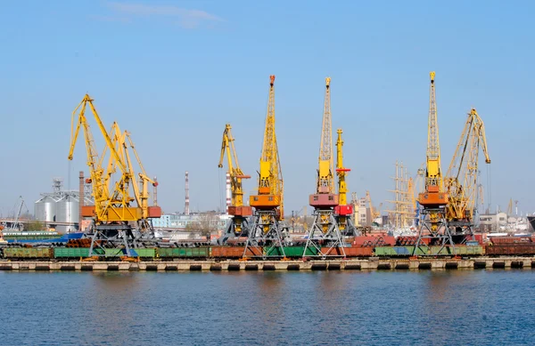 Grues dans le port — Photo