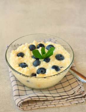 Bal ve yaban mersinli süzme peynir sağlıklı protein gıdası