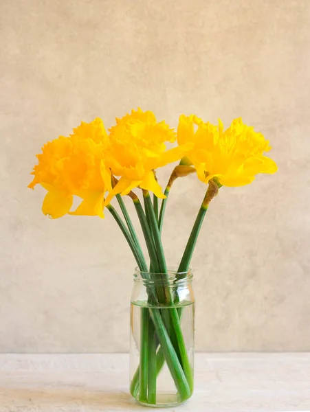 Желтые Нарциссы Банке Сером Фоне — стоковое фото