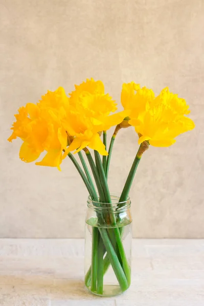 Yellow Daffodils Jar Grey Background — Stock Photo, Image