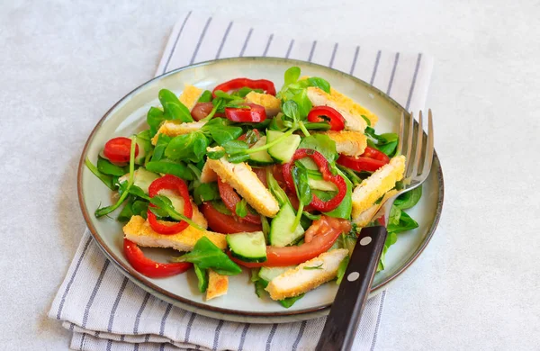 Gefrituurde Kipfilet Verse Groenten Salade Bord — Stockfoto