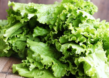 izole yeşil yaprak marul