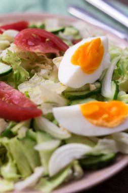 domates, yumurta, salatalık salatası