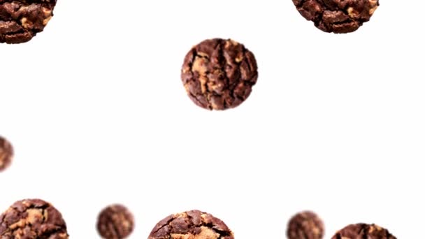 圣诞系列的一半巧克力曲奇饼 大小各异 背景为白色 Uhd镜头 未来主义设计 动感设计动画 流行艺术设计 创意圣诞糖果食品理念 — 图库视频影像