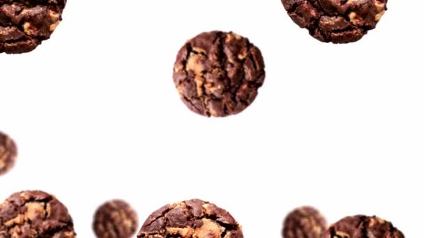 Stream Christmas Collection Half Chocolate Chip Cookies Different Diameters White — Stock Video