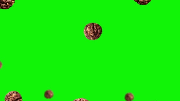 Flying Dark Chocolate Chip Cookie Διαφορετικών Διαμέτρων Στην Πράσινη Οθόνη — Αρχείο Βίντεο