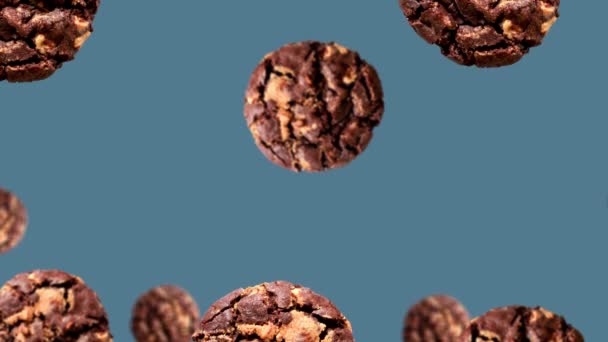 在4K超高清影片中的蓝色背景 水平的 不易碎的 不同直径的系列巧克力曲奇饼 — 图库视频影像