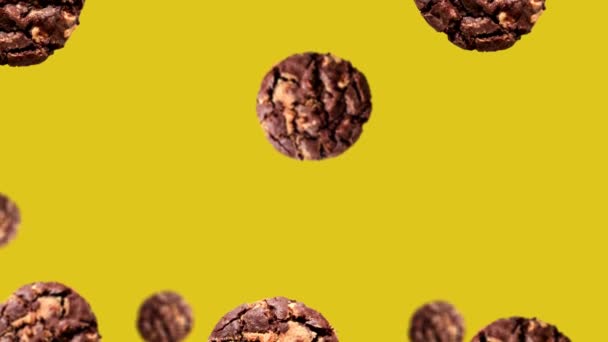 Flying Collection Half Chocolate Chip Cookies Different Diameters Move Center — Stock Video