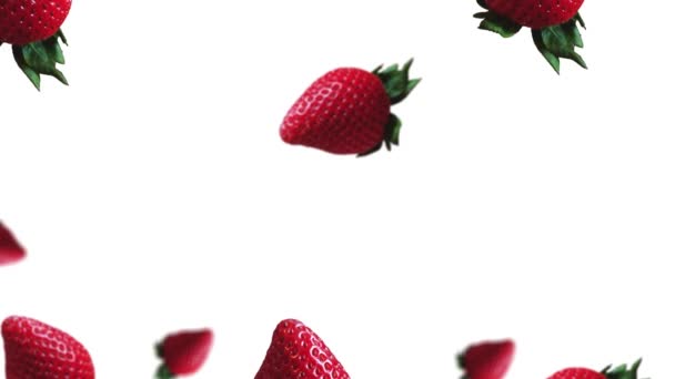 数多くの異なる直径のストリーム白い色の背景に緑の葉でイチゴを熟す 生の生鮮食品ベリーの概念 プロフェッショナルモーションデザイン Anim — ストック動画