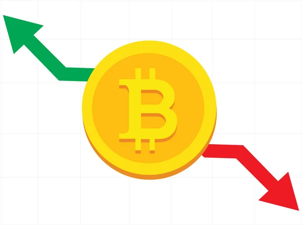 Bitcoin Rises Falls Value Vector Illustration Bitcoin Blockchain Concept Rise — Stok Vektör