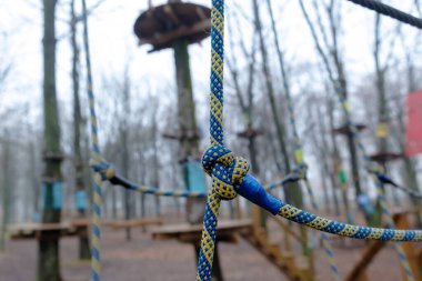 Ağaçlardaki halat parkı yapıları. Kyiv 'deki şehir parkı