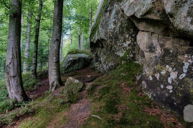 Dovbush harika. Ukrayna 'nın Karpat Dağları' ndaki dağ manzarası.