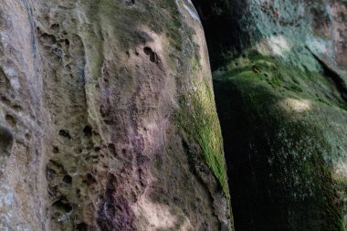 Dovbush harika. Rocky, Ukrayna 'nın Karpatlar ormanında yüzeye çıktı..