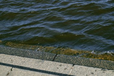 Dinyeper Nehri Bankası. Dalgalar kayalık kıyıya vurdu. Su dalgaları arka planı