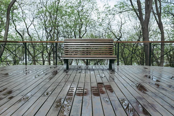 Yağmurdan sonra ahşap banklar. Parkta bahar günü.
