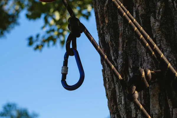 Carabina Com Embreagem Equipamento Para Escalada Alpinismo Corda Segurança — Fotografia de Stock