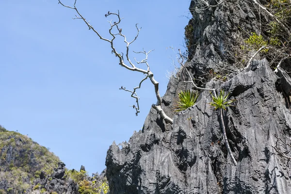 Filipinler, palawan Adası