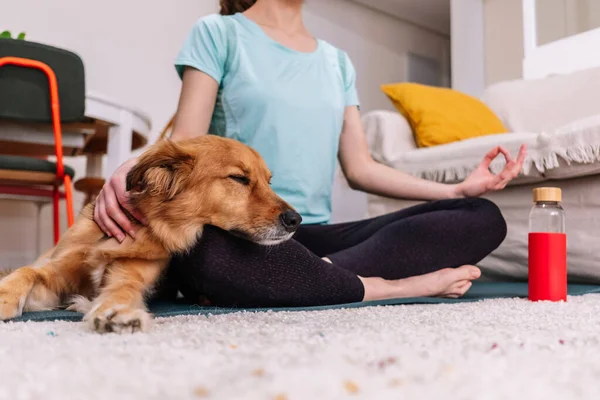 Mulher Irreconhecível Meditando Com Seu Cão Adormecido Cima Sua Perna — Fotografia de Stock