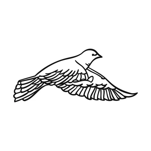 Belle colombe dans un style linéaire sur fond blanc. Vue latérale. Pour design et illustration. Illustration vectorielle. — Image vectorielle