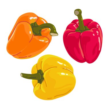 Set of colored realistic peppers isolated on white background for print and design. Vector clipart.