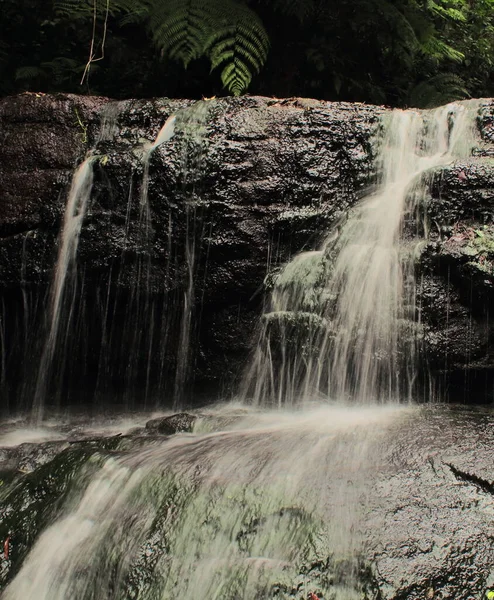 Vattakanal Wasserfall Levinge Bach Ausläufer Des Palani Gebirges Kodaikanal Tamilnadu — Stockfoto