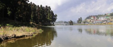 Manzaralı mirik gölü, Hindistan 'ın batısındaki Darjeeling yakınlarındaki Mirik Hill istasyonunda çam ormanlarıyla çevrili.