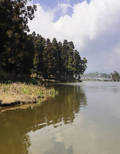 西印度大吉岭附近的Mirik山站 风景秀丽的Mirik湖被松树林环绕 — 图库照片