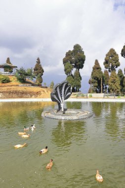 Hindistan, Batı Bengal 'deki Darjeeling Hill İstasyonu yakınlarındaki gölün ortasında çam ormanı ve mitolojik yılan heykeliyle çevrili gizli Jore Pokhari Gölü.