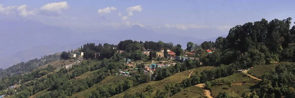 งดงามของสวนชา Singamari และหม านภ เขา สถานท งการต ของ Darjeeling บนเน — ภาพถ่ายสต็อก