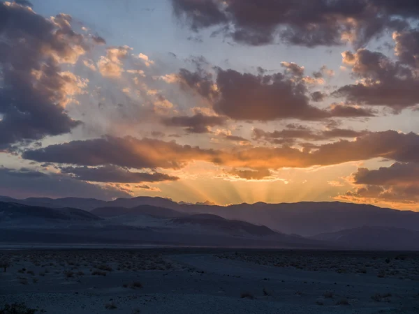 Sunset in the Desert — Stock Photo, Image