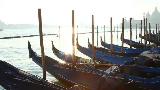 Солнечный луч на венецианских гондолах в доках — стоковое видео