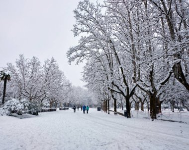 Kar fırtınası ardında karlı manzaralar bırakıyor ve şehirde çöküyor. İnsanlar fırtınadan sonra bir hayat sürmeye çalışıyor.. 