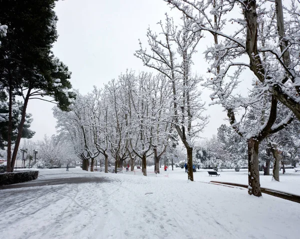 Snow storm that leaves snowy landscapes and collapses in the city, street with people walking trying to lead a life after the storm.