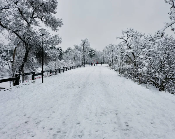 Snow storm that leaves snowy landscapes and collapses in the city, street with people walking trying to lead a life after the storm.