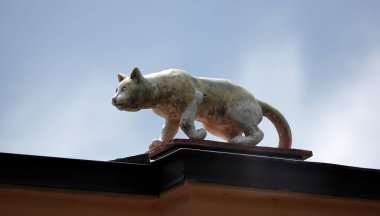 Kiev, Ukrayna 14 Haziran 2021: Bir evin çatısında kedi avı heykeli
