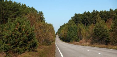 Kiev, Ukrayna 7 Ekim 2021: Ukrayna 'nın yüksek ormanları arasındaki yol