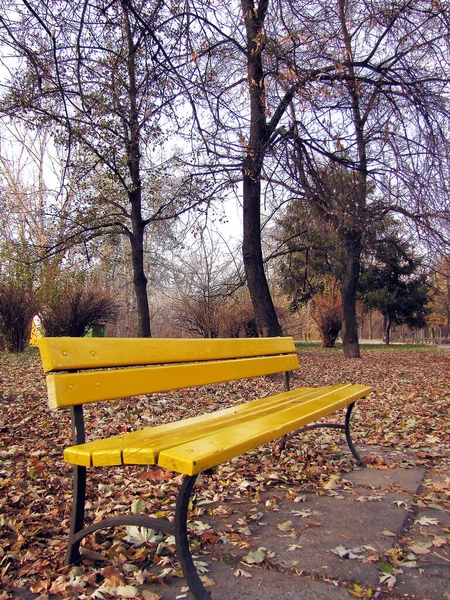 Banc Jaune Dans Parc Automne — Photo