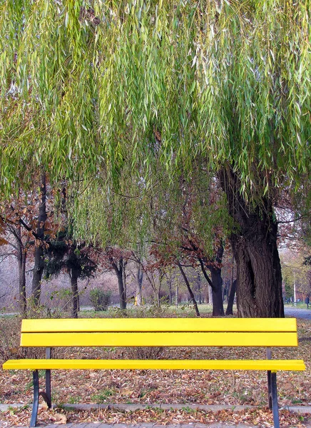 Κίτρινο Παγκάκι Στο Φθινοπωρινό Πάρκο — Φωτογραφία Αρχείου