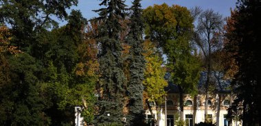 Chernihiv, Ukrayna 11 Temmuz 2021: Chernihiv şehrinin parkındaki ağaçların arasında eski bir ev