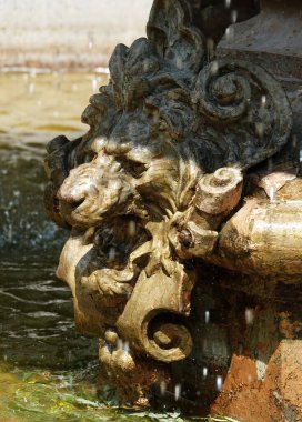 Kiev, Ukraine June 14, 2021: Ancient city fountain with a lion's face
